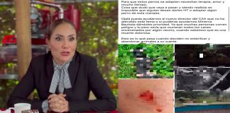 Acusan a directora del IMPA de maltrato animal; animalistas exigen su destitución en Morelia