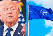 Trump exige apoyo a la OTAN y aliados para garantizar paso seguro en Ormuz