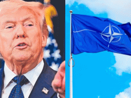 Trump exige apoyo a la OTAN y aliados para garantizar paso seguro en Ormuz