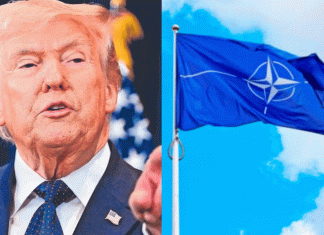 Trump exige apoyo a la OTAN y aliados para garantizar paso seguro en Ormuz