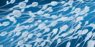 #VIDEO //Anuncian en Estados Unidos la Copa del Mundo de Carreras de Esperma 2026