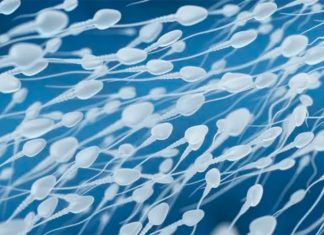 #VIDEO //Anuncian en Estados Unidos la Copa del Mundo de Carreras de Esperma 2026