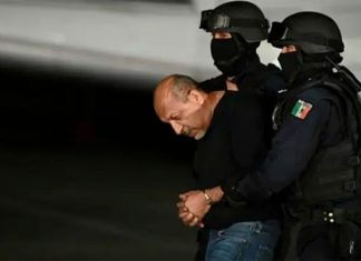 ”La Tuta” se declara inocente ante una corte federal en EU