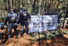 Localizan e inhabilitan campamento clandestino en Queréndaro: SSP