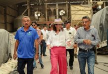 Fabiola Alanís visitó la zona de producción de arroz y mango en la tierra caliente