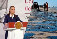Derrame en el Golfo apunta a empresa privada y descarta responsabilidad de PEMEX: Claudia Sheinbaum