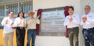 Plan Michoacán camina con resultados: Gaby Molina