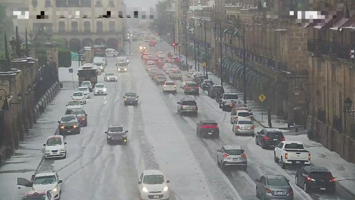 WhatsApp Image 2026-03-31 at 2.29.35 PM