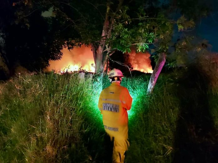 WhatsApp Image 2026-03-31 at 22.05.17