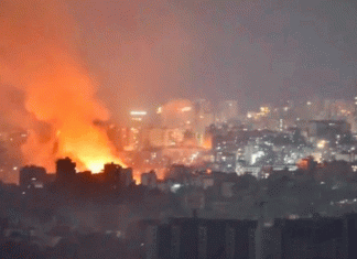 OMS condena muerte de 14 trabajadores de la salud tras ataques de Israel en Líbano