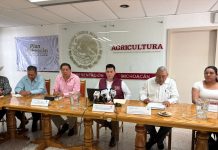 La Presidenta de México cumplió a los productores de maíz en Michoacán: Agricultura