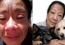 ¿Quién era Diana Belén? La rescatista de perros asesinada tras denunciar amenazas