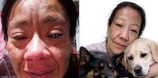 ¿Quién era Diana Belén? La rescatista de perros asesinada tras denunciar amenazas