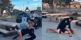 #VIDEO/ Detienen a mujer por insultos racistas y agresión a policía en parque de San Diego