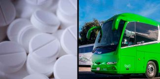 Red encubierta: autobuses de pasajeros, la nueva ruta del narcotráfico hacia Estados Unidos
