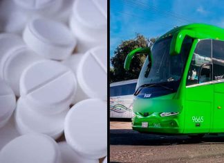 Red encubierta: autobuses de pasajeros, la nueva ruta del narcotráfico hacia Estados Unidos