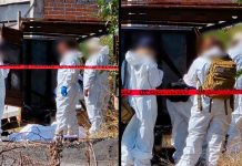 Hallan cadáver femenino calcinado en una caja seca de camioneta, en Atapaneo