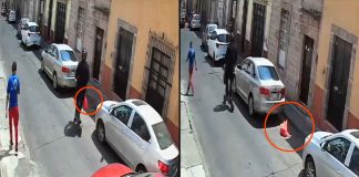 #VIDEO // Sujeto abandona a un gatito en una bolsa en pleno Centro Histórico de Morelia