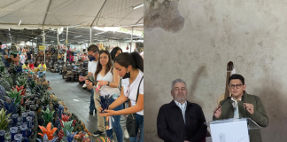 Tianguis Artesanal de Domingo de Ramos estrenará nueva imagen