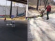 VIDEO // Conductores no roban, ayudan a recuperar carga de refresco tras volcadura de camión en Jalisco