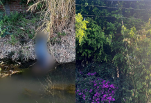 Hombre que cortaba carrizos, toca cables de mediana tensión y muere electrocutado