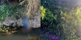 Hombre que cortaba carrizos, toca cables de mediana tensión y muere electrocutado