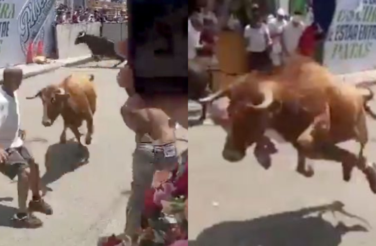 #VIDEO // Hombre es embestido por toro durante pamplonada en Perú