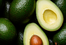 Huertas de aguacate en el cerro del Águila son ilegales: Bedolla