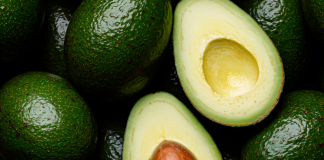 Huertas de aguacate en el cerro del Águila son ilegales: Bedolla