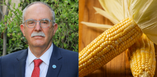 No hay razones para nuevo paro nacional de productores del campo: Julio Berdegué