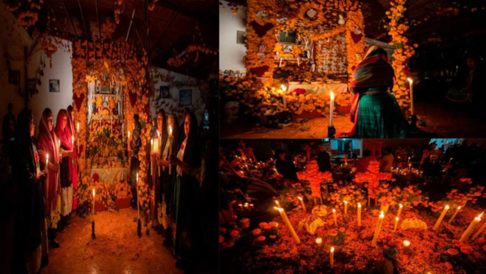 imagen destacada (62)