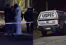 Ejecutan a 2 hombres a la orilla de la Morelia-Pátzcuaro