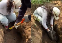 Casi 500 bolsas con restos humanos halladas cerca de estadio del Mundial en Jalisco