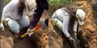 Casi 500 bolsas con restos humanos halladas cerca de estadio del Mundial en Jalisco