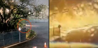 #VIDEO // Captan el instante en que explota y se incendia la refinería de Dos Bocas en Tabasco