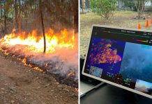 #VIDEO // Incendio forestal consume amplia zona boscosa en Tzitzio