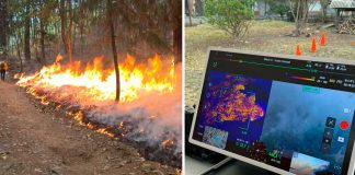 #VIDEO // Incendio forestal consume amplia zona boscosa en Tzitzio