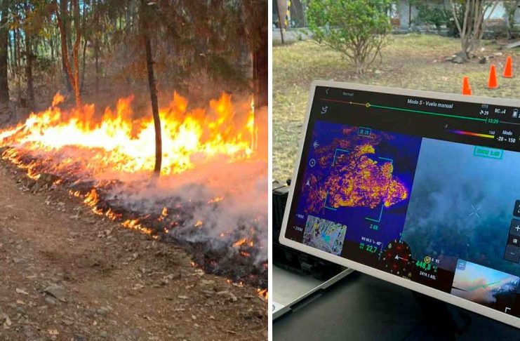 #VIDEO // Incendio forestal consume amplia zona boscosa en Tzitzio