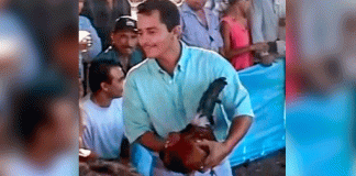 #VIDEO/ Filtran video inédito de “El Mencho” que revelaría el origen del apodo “Señor de los Gallos”