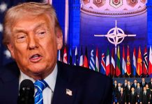 “Son unos cobardes”: Trump estalla contra la OTAN por no unirse a la guerra contra Irán