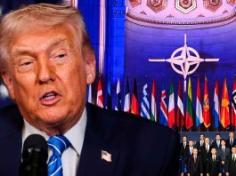 “Son unos cobardes”: Trump estalla contra la OTAN por no unirse a la guerra contra Irán