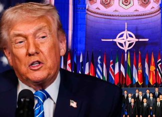 “Son unos cobardes”: Trump estalla contra la OTAN por no unirse a la guerra contra Irán