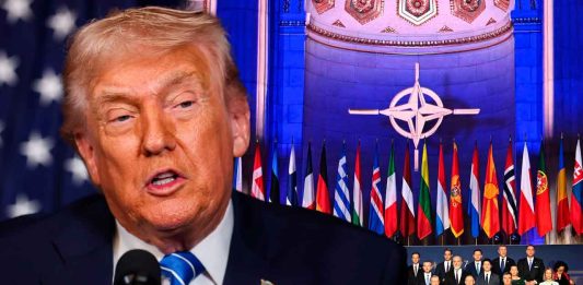 “Son unos cobardes”: Trump estalla contra la OTAN por no unirse a la guerra contra Irán