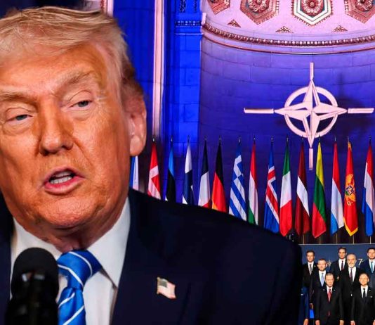 “Son unos cobardes”: Trump estalla contra la OTAN por no unirse a la guerra contra Irán