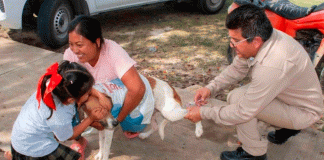 Niña se vuelve viral por tapar los ojos a su perrito durante vacuna antirrábica