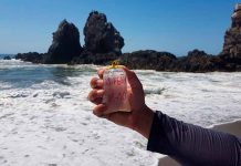 Playas de Michoacán, aptas y seguras para vacacionistas en Semana Santa 2026