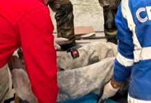 Trabajador sufre accidente laboral en una fábrica de la colonia Los Ángeles, Morelia