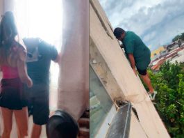 VIDEO | Contrató a una escort, se enteró que era trans y al intentar huir por la ventana perdió la vida