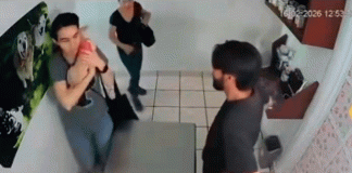 #VIDEO/ Tensa consulta veterinaria en la Ciudad de México