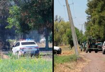 Enfrentamiento armado moviliza a las autoridades en Zamora